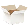 Witte Amerikaanse vouwdozen 0201