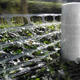 Machinefolie macro Perforated pre-stretched 5 my 46cm x 2.750m