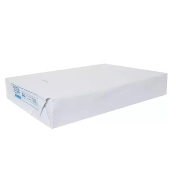 Kopieer en printerpapier A4 80gr/m²