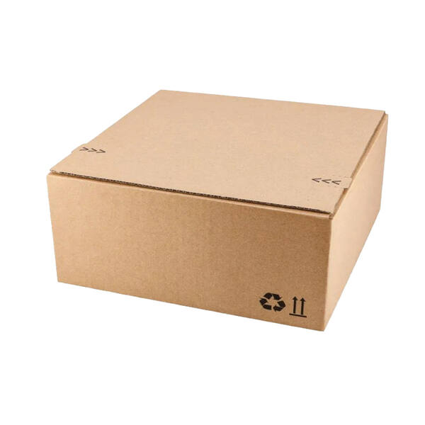 Verzendbox 5 270x200x100mm EG bruin autolock + plakstrip