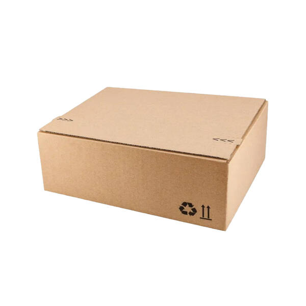 Verzendbox 8 310x230x110mm EG bruin autolock + plakstrip