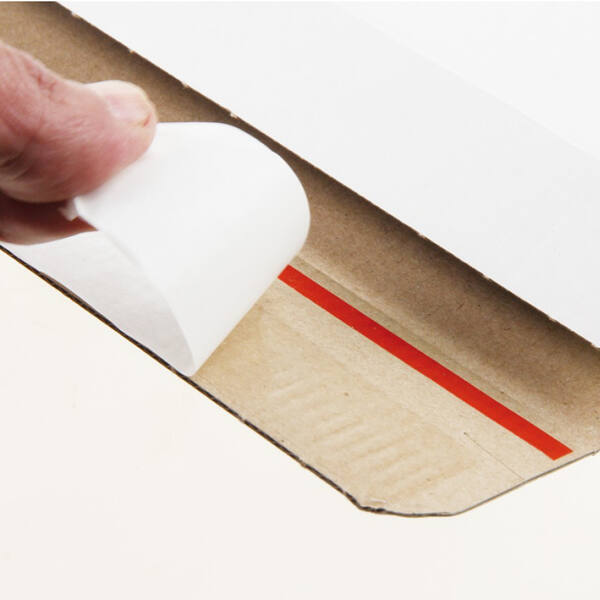 Mailbox 1 A5 160x250x28mm EG wit + 2x plakstrip