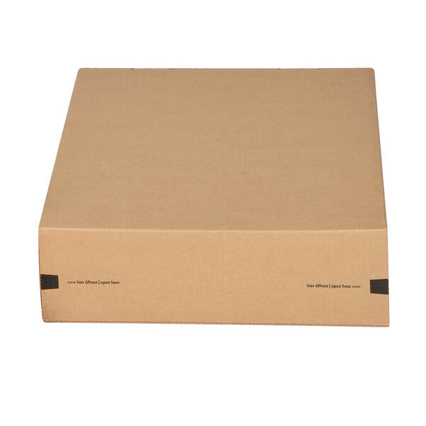 CP 154.301030 Moduuldoos M 294 x 94 x 287mm bruin EG + ZK KLep