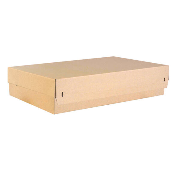 CP 154.604010 Moduuldoos XL 570 x 382 x 94mm bruin EG + ZK KLep